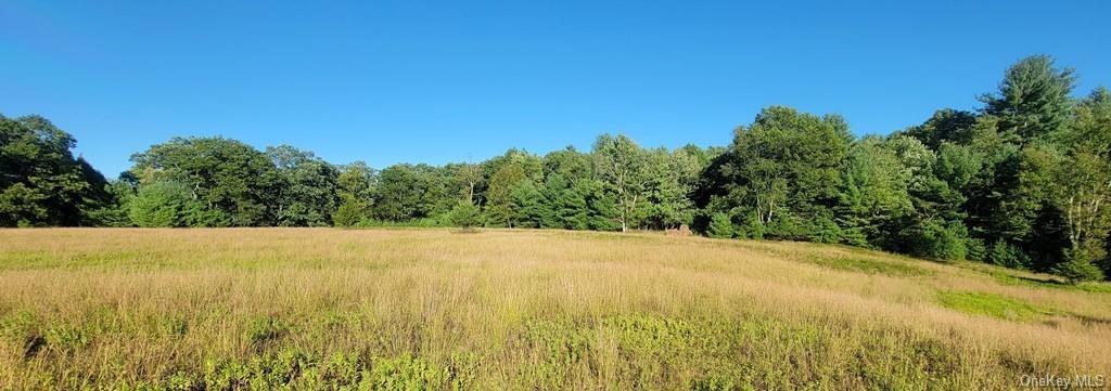 Land Meyerson  Sullivan, NY 12790, MLS-H6207993-9