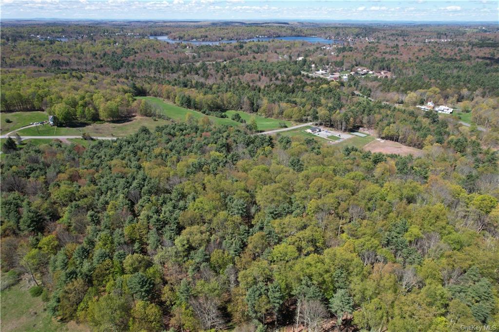 Land Royce  Sullivan, NY 12720, MLS-H6245995-9